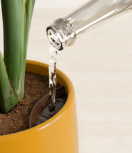 Load image into Gallery viewer, Mustard stand:all