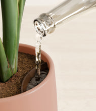 Load image into Gallery viewer, Calm Rose stand:all