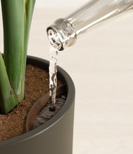 Load image into Gallery viewer, Dark Olive stand:all