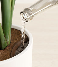 Load image into Gallery viewer, White stand:all