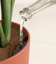 Load image into Gallery viewer, Earth Red stand:all