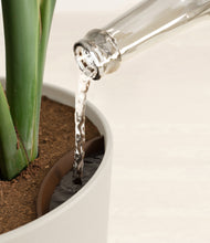 Load image into Gallery viewer, Natural Bamboo stand:all