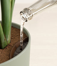 Load image into Gallery viewer, Sage Green stand:all