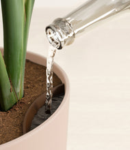 Load image into Gallery viewer, Sandy Pink stand:all