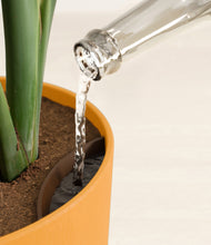 Load image into Gallery viewer, Sunset Orange stand:all