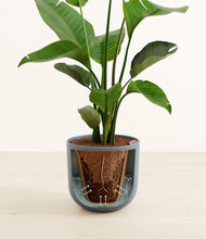 Load image into Gallery viewer, Iron Gray stand:all