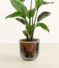 Load image into Gallery viewer, Sage Green stand:all