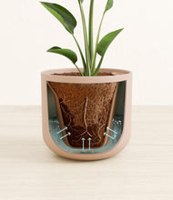 Load image into Gallery viewer, Sandy Pink