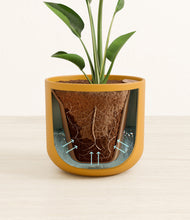 Load image into Gallery viewer, Sunset Orange