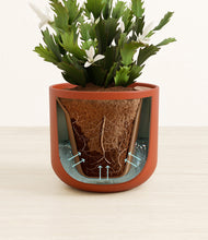 Load image into Gallery viewer, Earth Red