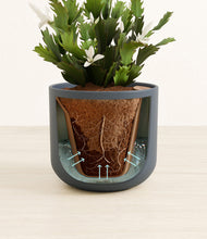 Load image into Gallery viewer, Iron Gray