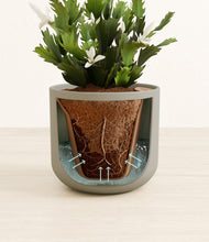 Load image into Gallery viewer, Sage Green