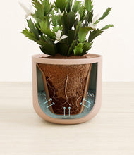 Load image into Gallery viewer, Sandy Pink