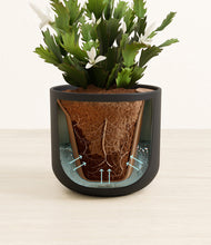 Load image into Gallery viewer, Stone Black