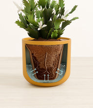 Load image into Gallery viewer, Sunset Orange