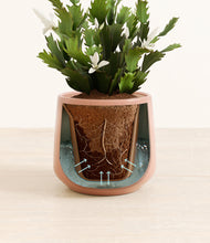 Load image into Gallery viewer, Calm Rose stand:all