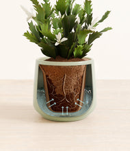 Load image into Gallery viewer, Turquoise stand:all