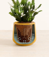 Load image into Gallery viewer, Mustard stand:all