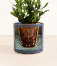 Load image into Gallery viewer, Deep Navy stand:all