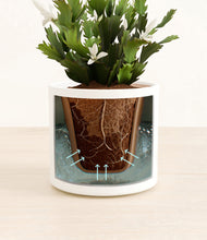 Load image into Gallery viewer, White stand:all