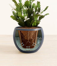 Load image into Gallery viewer, Deep Navy stand:all