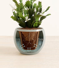 Load image into Gallery viewer, Deep Ocean stand:all