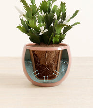 Load image into Gallery viewer, Calm Rose stand:all