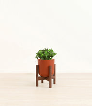 Load image into Gallery viewer, Earth Red stand:walnut