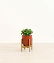 Load image into Gallery viewer, Earth Red stand:bamboo