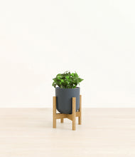 Load image into Gallery viewer, Iron Gray stand:bamboo