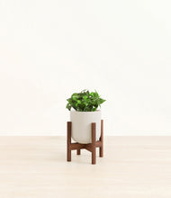 Load image into Gallery viewer, Natural Bamboo stand:walnut