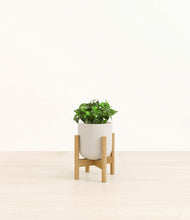 Load image into Gallery viewer, Natural Bamboo stand:bamboo