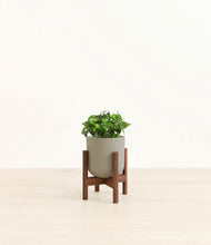 Load image into Gallery viewer, Sage Green stand:walnut