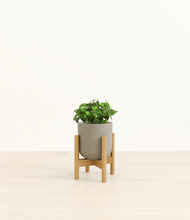 Load image into Gallery viewer, Sage Green stand:bamboo
