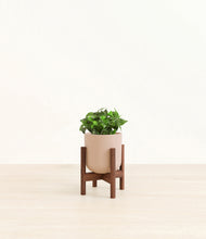 Load image into Gallery viewer, Sandy Pink stand:walnut