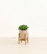 Load image into Gallery viewer, Sandy Pink stand:bamboo