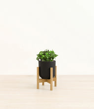 Load image into Gallery viewer, Stone Black stand:bamboo