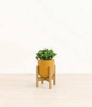 Load image into Gallery viewer, Sunset Orange stand:bamboo