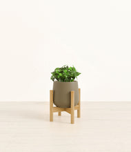 Load image into Gallery viewer, Olive stand:bamboo