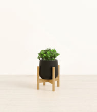 Load image into Gallery viewer, Black stand:bamboo