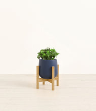 Load image into Gallery viewer, Deep Navy stand:bamboo