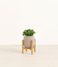 Load image into Gallery viewer, Eternal Gray stand:bamboo