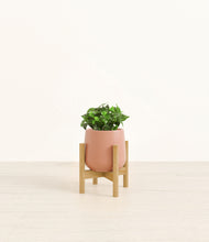 Load image into Gallery viewer, Calm Rose stand:bamboo