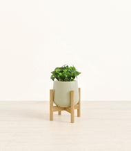 Load image into Gallery viewer, Turquoise stand:bamboo