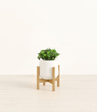 Load image into Gallery viewer, White stand:bamboo
