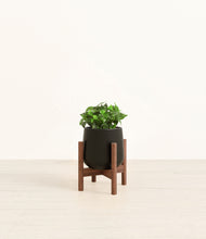 Load image into Gallery viewer, Black stand:walnut