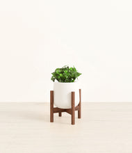 Load image into Gallery viewer, White stand:walnut
