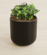 Load image into Gallery viewer, Stone Black stand:all