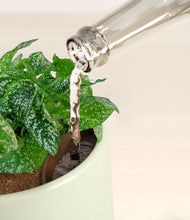 Load image into Gallery viewer, Turquoise stand:all