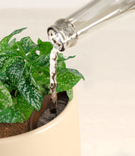 Load image into Gallery viewer, Almond Green stand:all